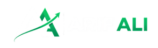 A1